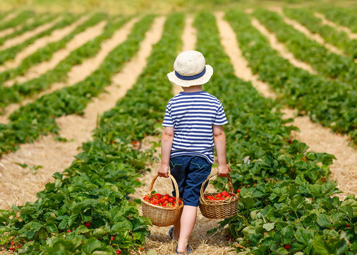 Agriculteur près de Grenoble - Vente, Achat de Noix